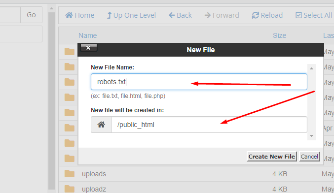 Creating manual robots.txt file for WordPress on cpanel public_html