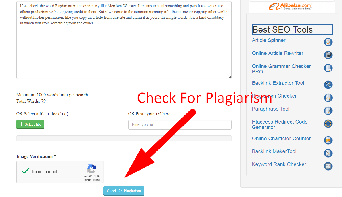check article for plagiarism