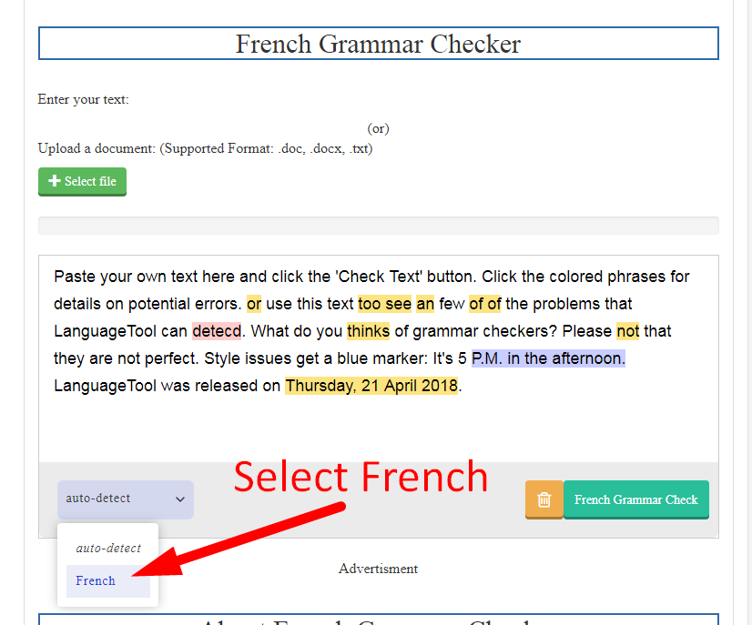 French Grammar Checker