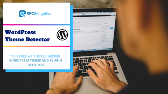 SEO Magnifier WordPress Theme Detector