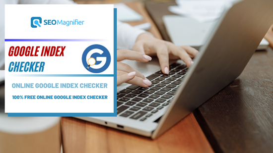 Google Index Checker