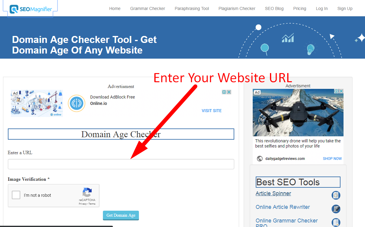 how to check age of any website step 1