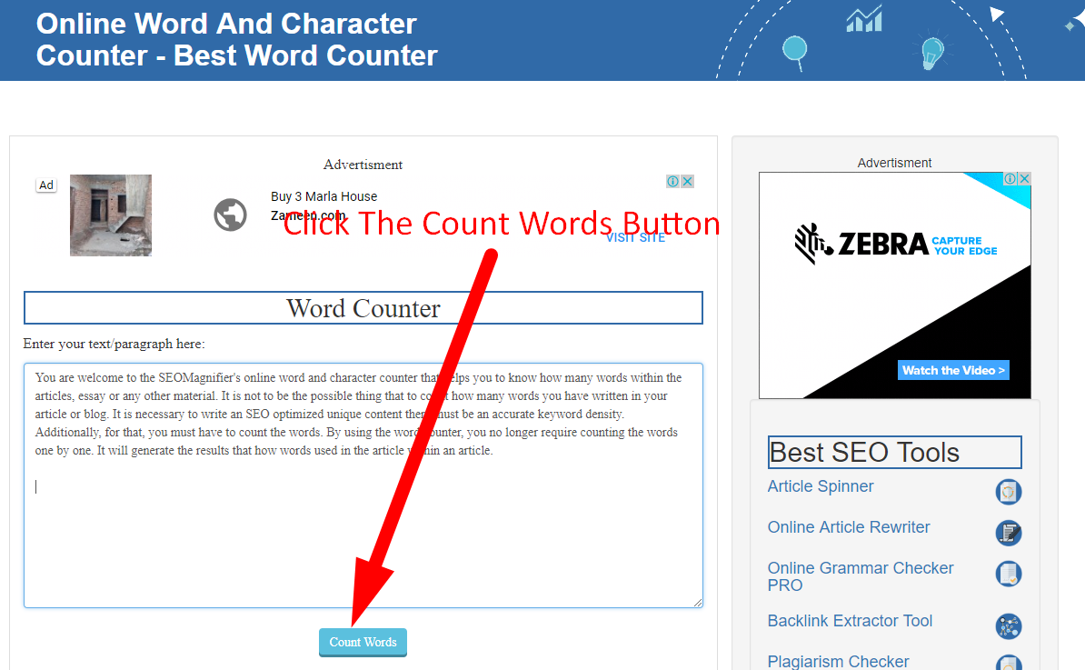 how to count word online using seo magnifier step 3