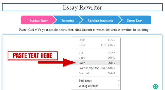 rewrite my essay 100 free