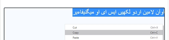 How to use urdu keyboard online step 4